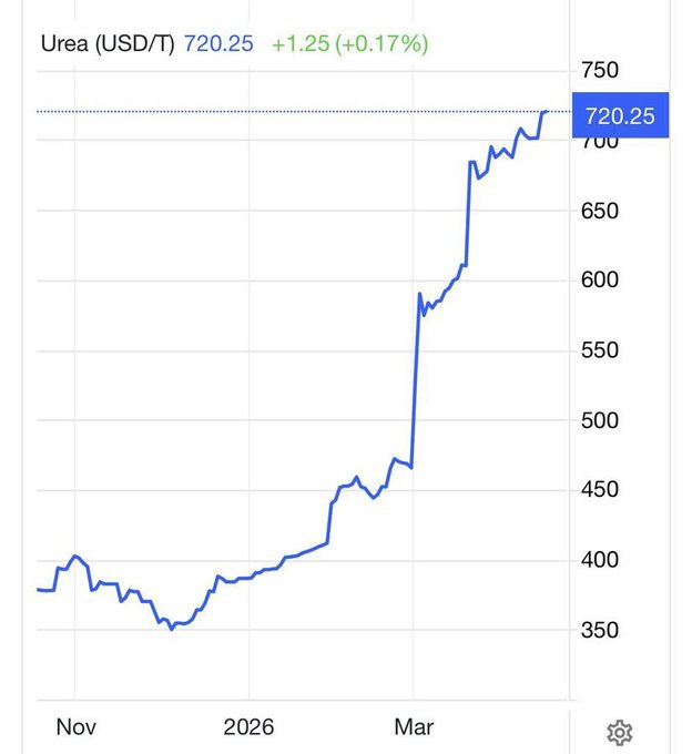 canimon crypto🧠🧊 tweet media