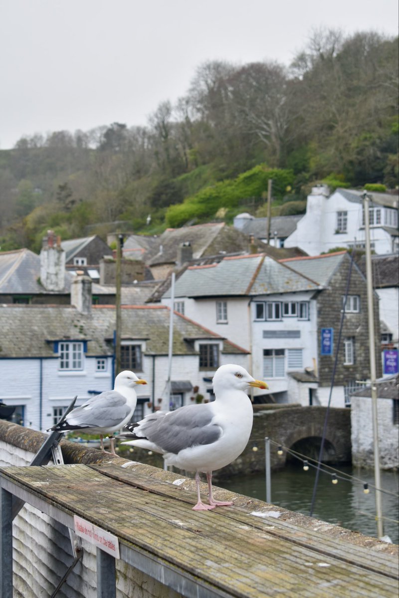 あぶそる〜とロンドン Absolute London tweet media