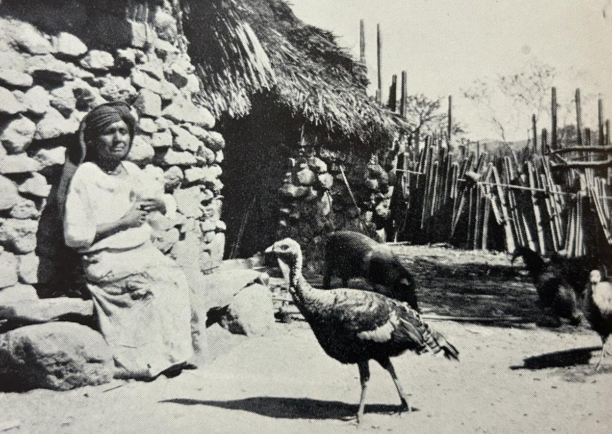 Biblioteca Burgoa tweet media