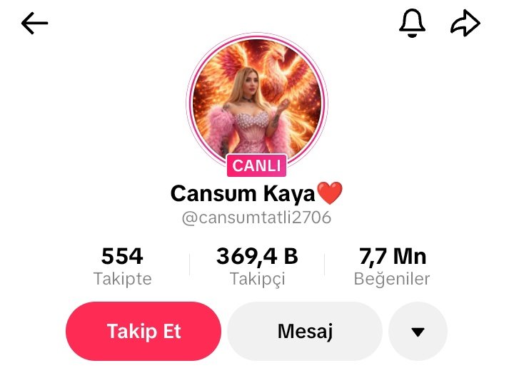 Sülemana tweet media