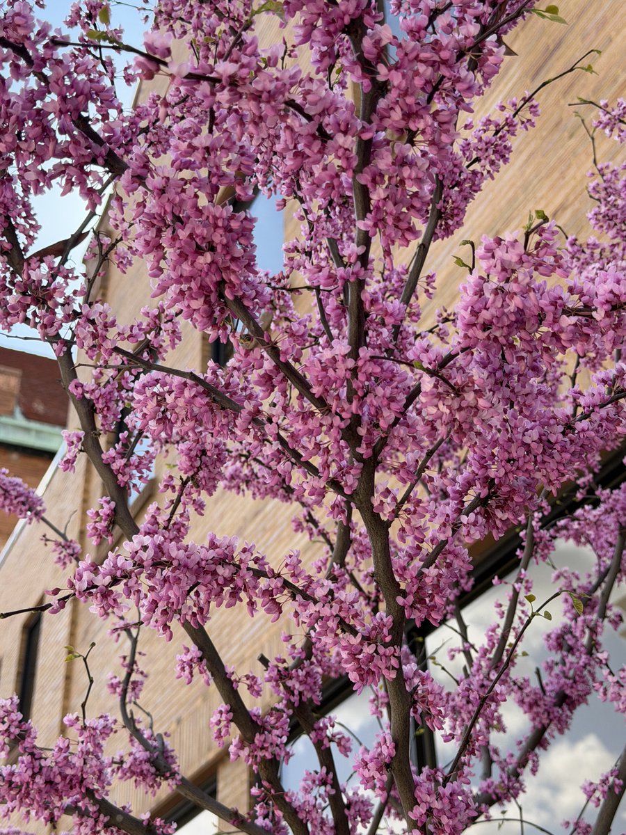 Ricky 🫑🍵 tweet media