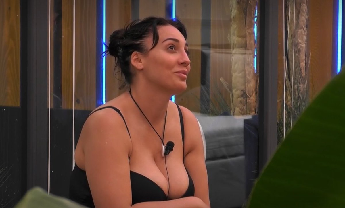 santippe tweet media