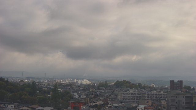 SUZU＠失語症に負けない tweet media