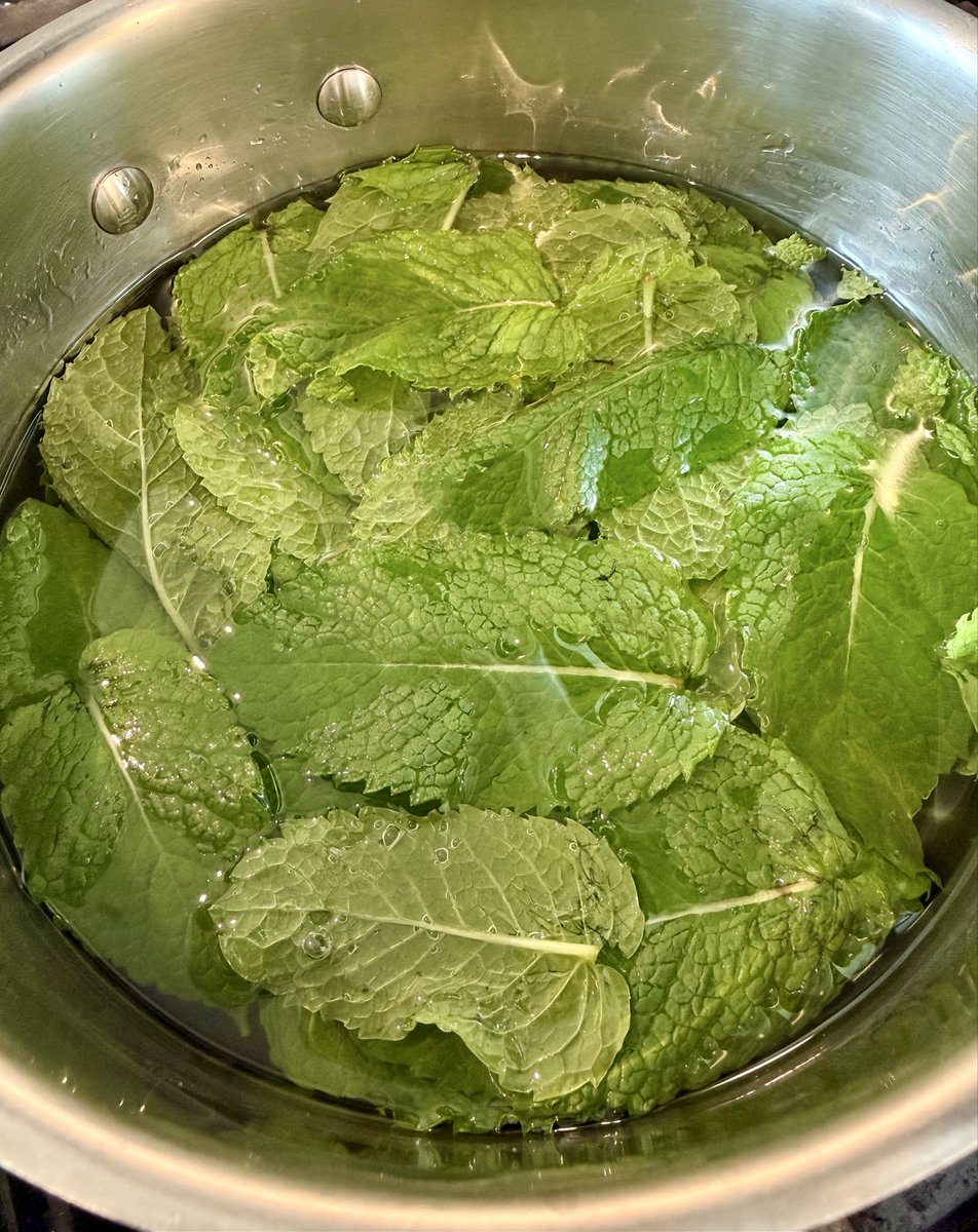 texasjillybean's tweet photo. Fresh mint leaves from a friend = mint infused simple syrup for all my summer drink needs 💚🌿🍵🍹☀️🌴 https://t.co/fUlKDfWmpB
