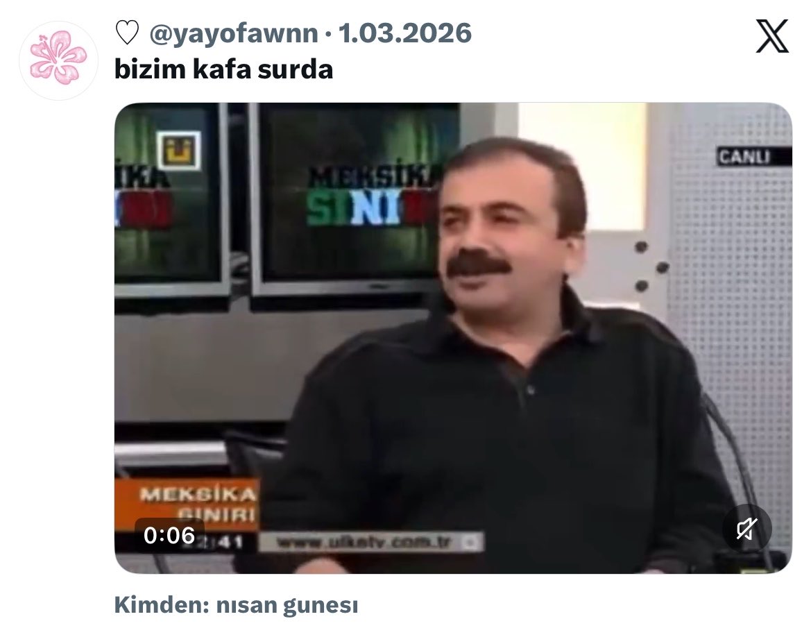 medus🕋 tweet media