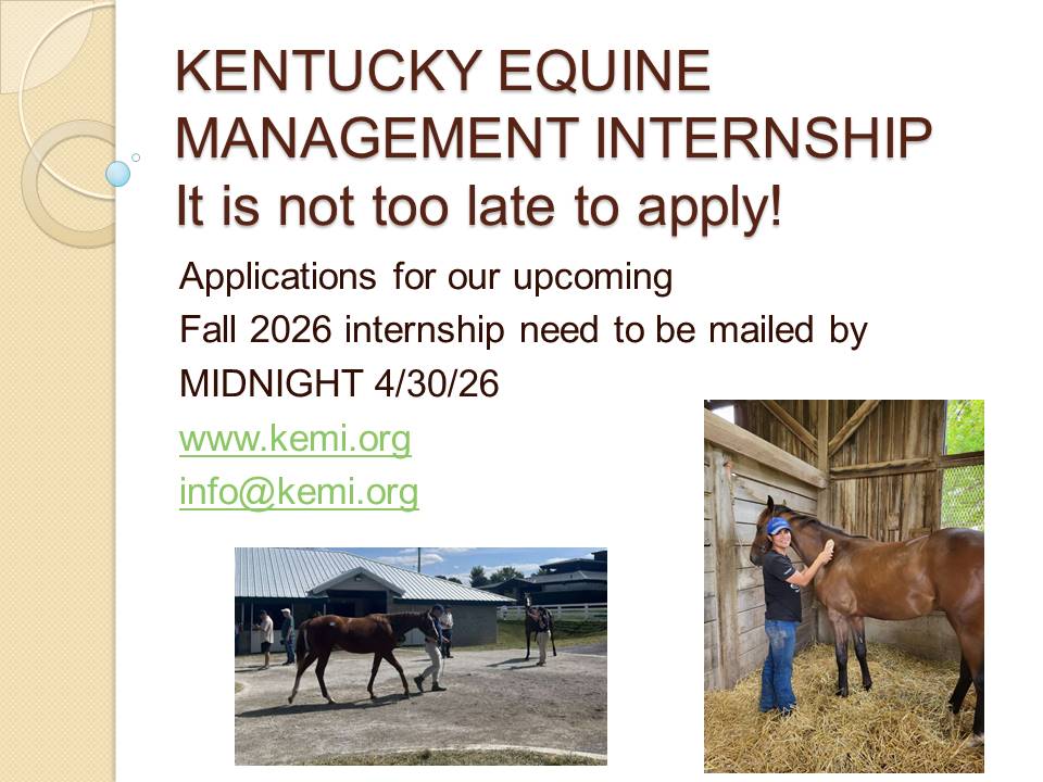 KYEquineIntern's tweet photo. It is time to send in applications for the Fall 2026 Sales, Marketing &amp; Early Training Internship! https://t.co/gW8UmIS85H
