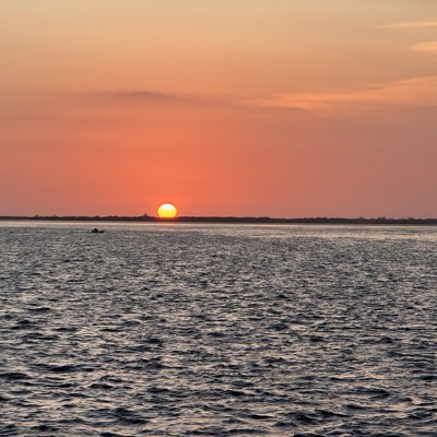 Vicky🇺🇸 tweet media