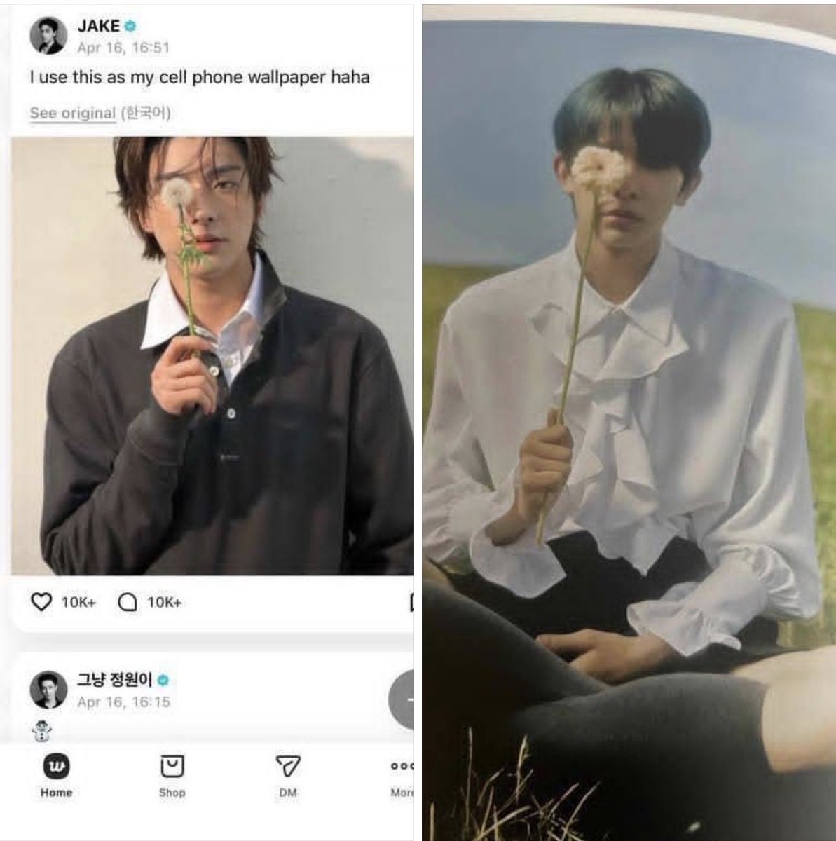 LΞi7 🐈🐈‍⬛🦊🐧🐥🦌🐶 tweet media