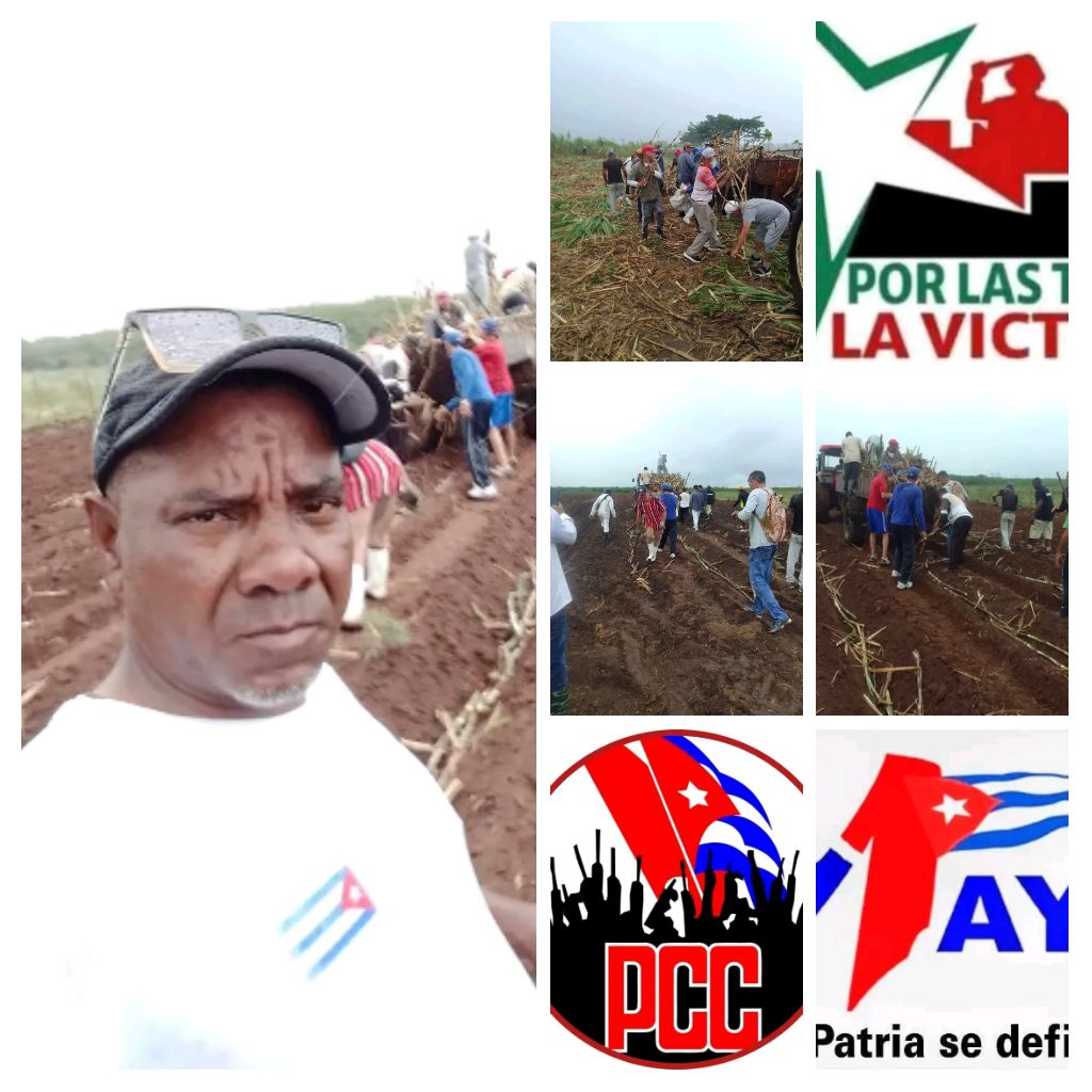 Roberto López Saborit tweet media