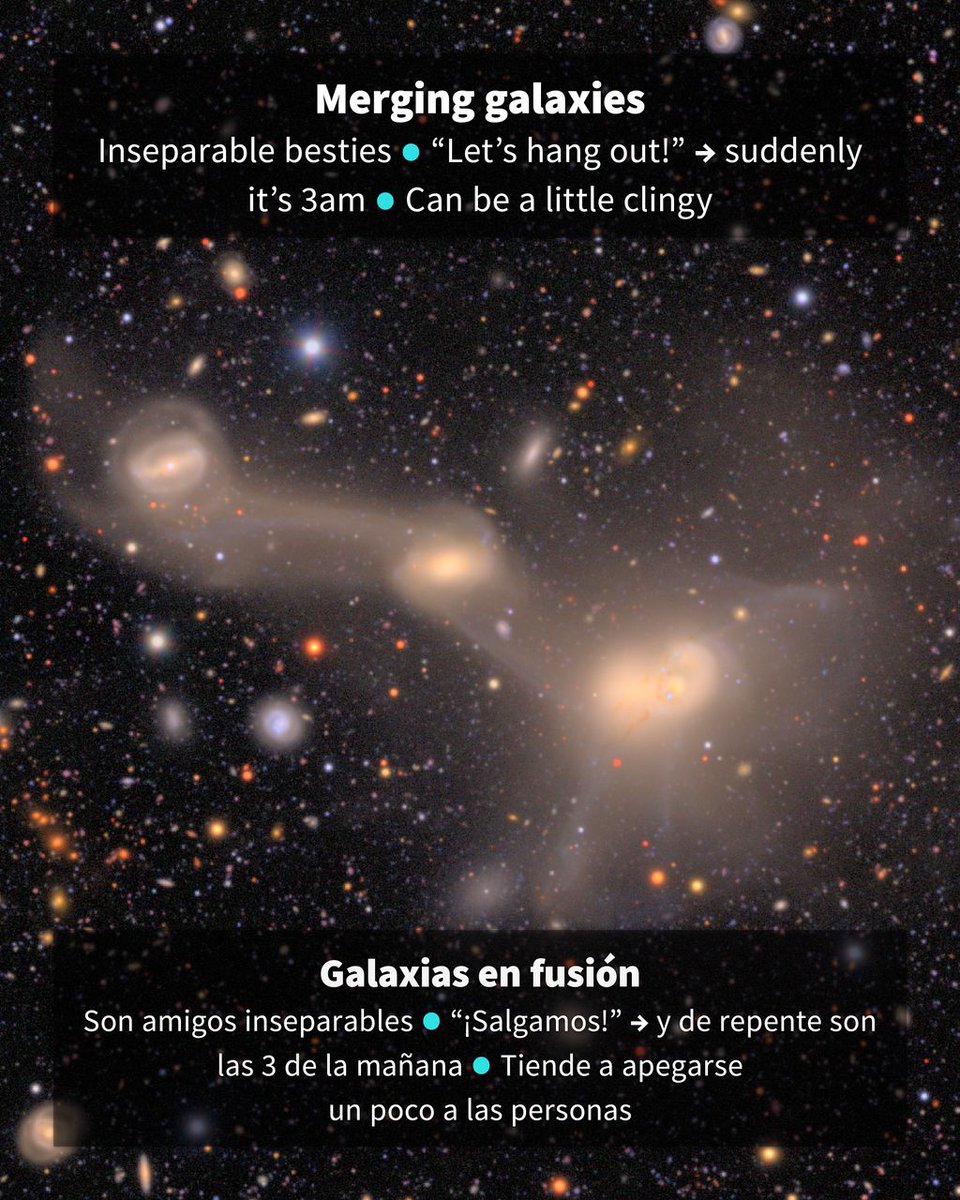 NSF-DOE Rubin Observatory tweet media