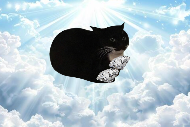 miggl_sol's tweet photo. Diamond Maxwell paws will win in the end 

Believe in something and work for it https://t.co/hmvDj2smHI
