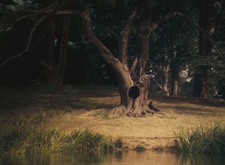 𝑺𝒆𝒗𝒆𝒓𝒖𝒔 tweet media