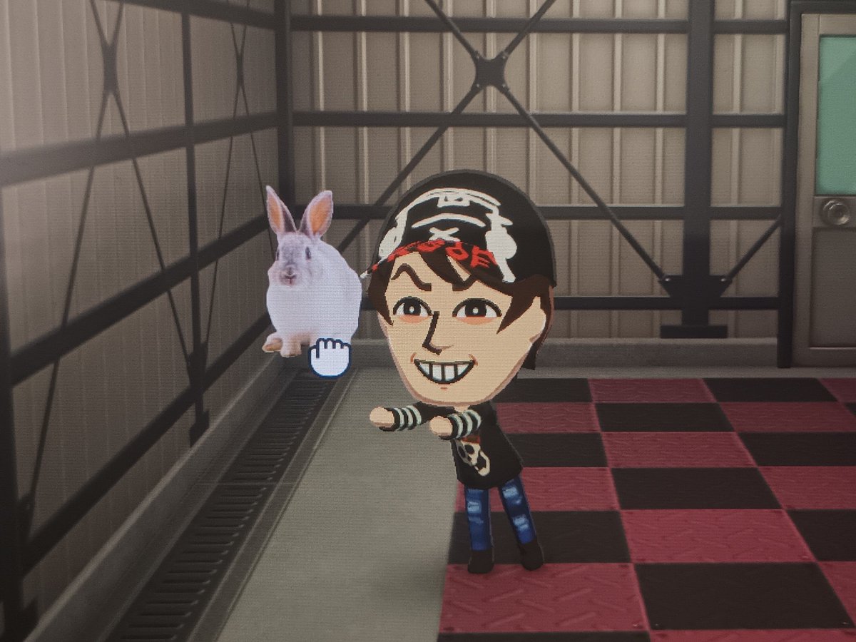 GingerSnap 🦝 tweet media