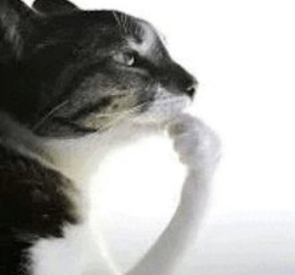 Goga ❀ tweet media