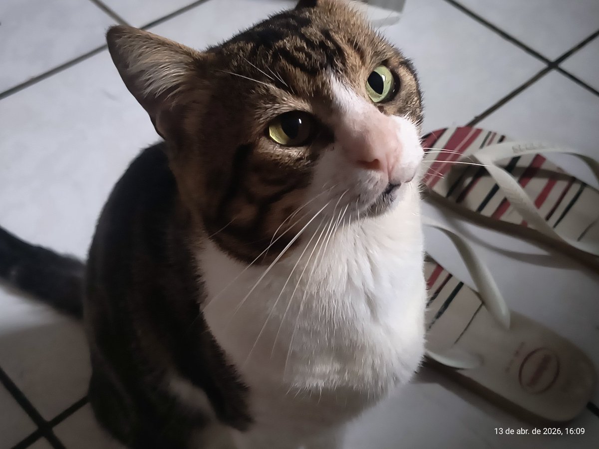 𓂃⭑ayo | 📖 tweet media