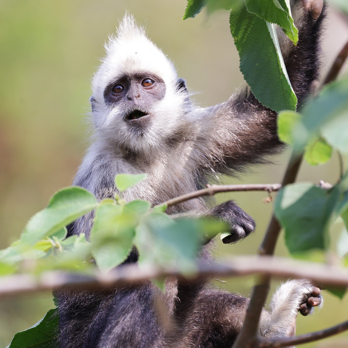 tatitut | ᑎᗩᖇᗩᔕI tweet media