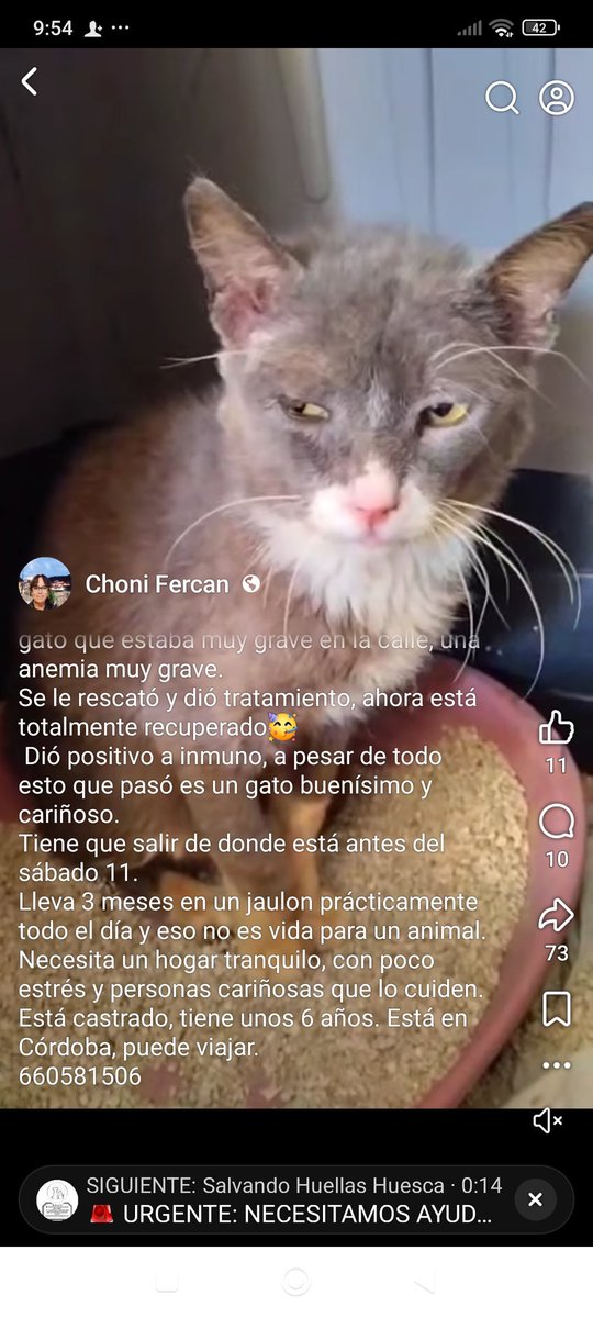 María Viñuela del Jeso tweet media
