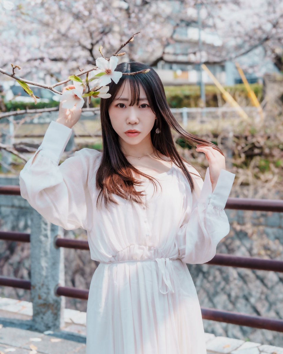 ぷうぺー tweet media