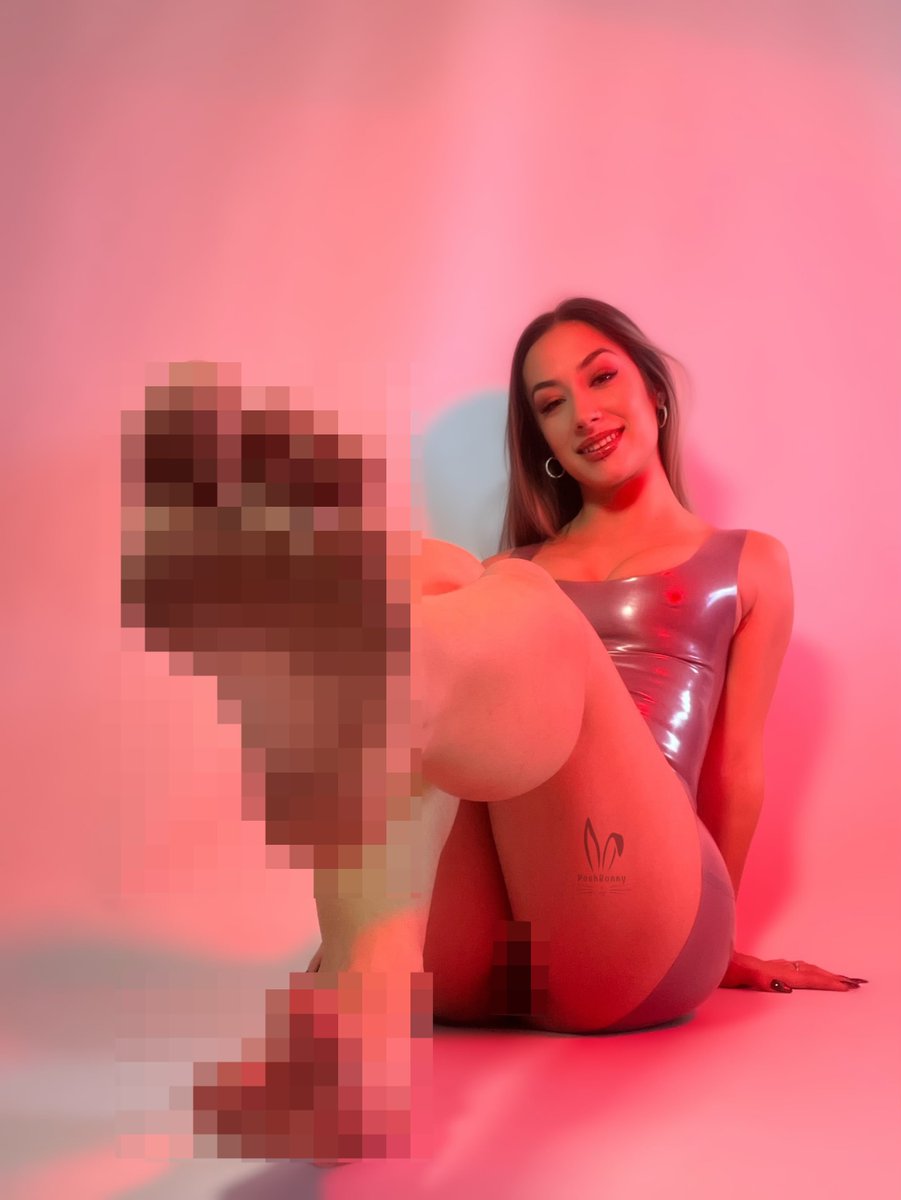 Posh Bunny tweet media