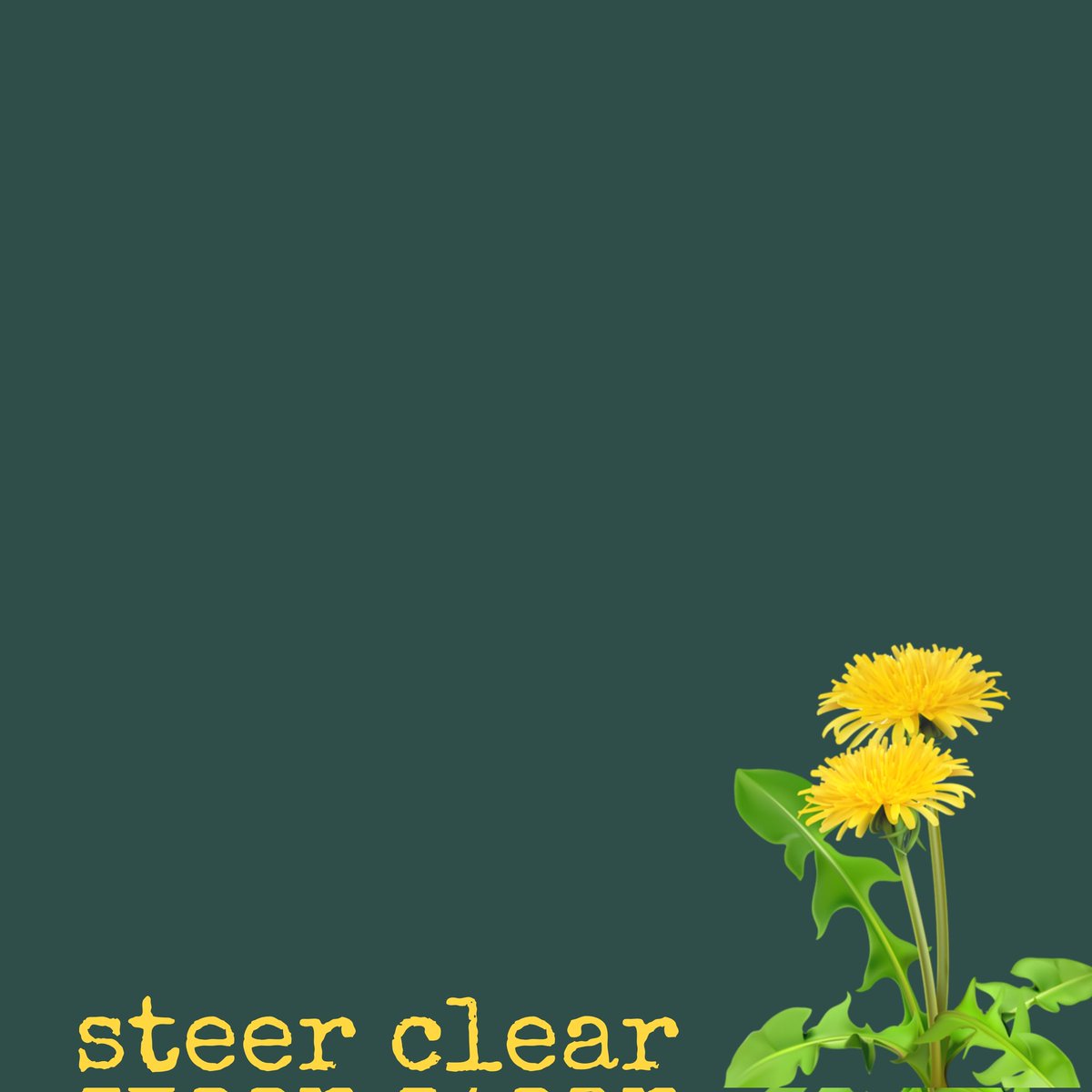 Seriously, when did we become 'mower junkies'? The poor #dandelions don't stand a chance &amp; we won't either if we kill this hardy flower,often the only one available to bees at this time of year! Saw a man mowing a small bit of green to death alongside a road.Scalped!