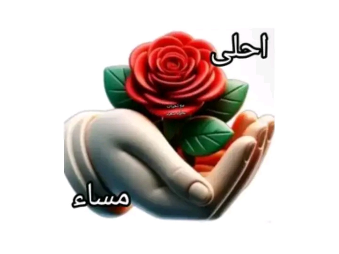 ميلاد وهاب tweet media