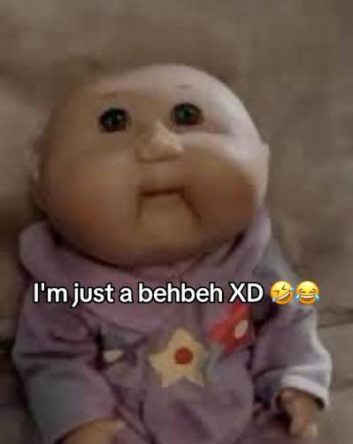 ❀ Root ❀ tweet media