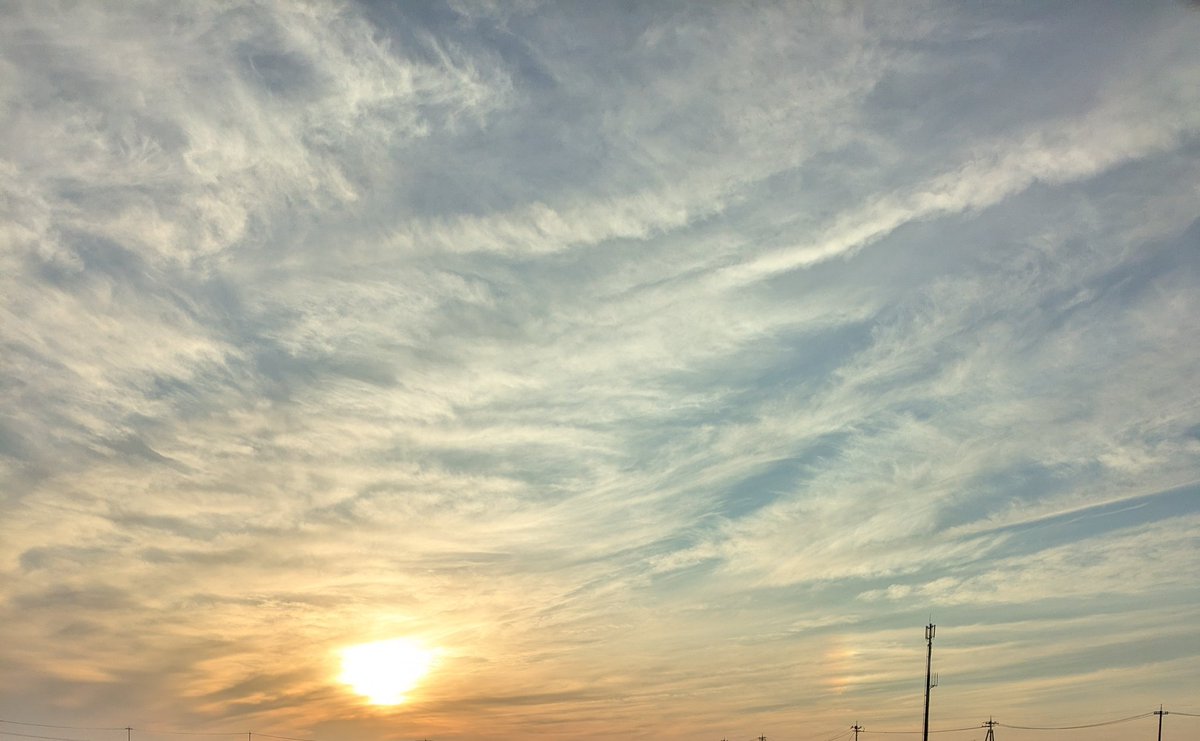 さりー tweet media