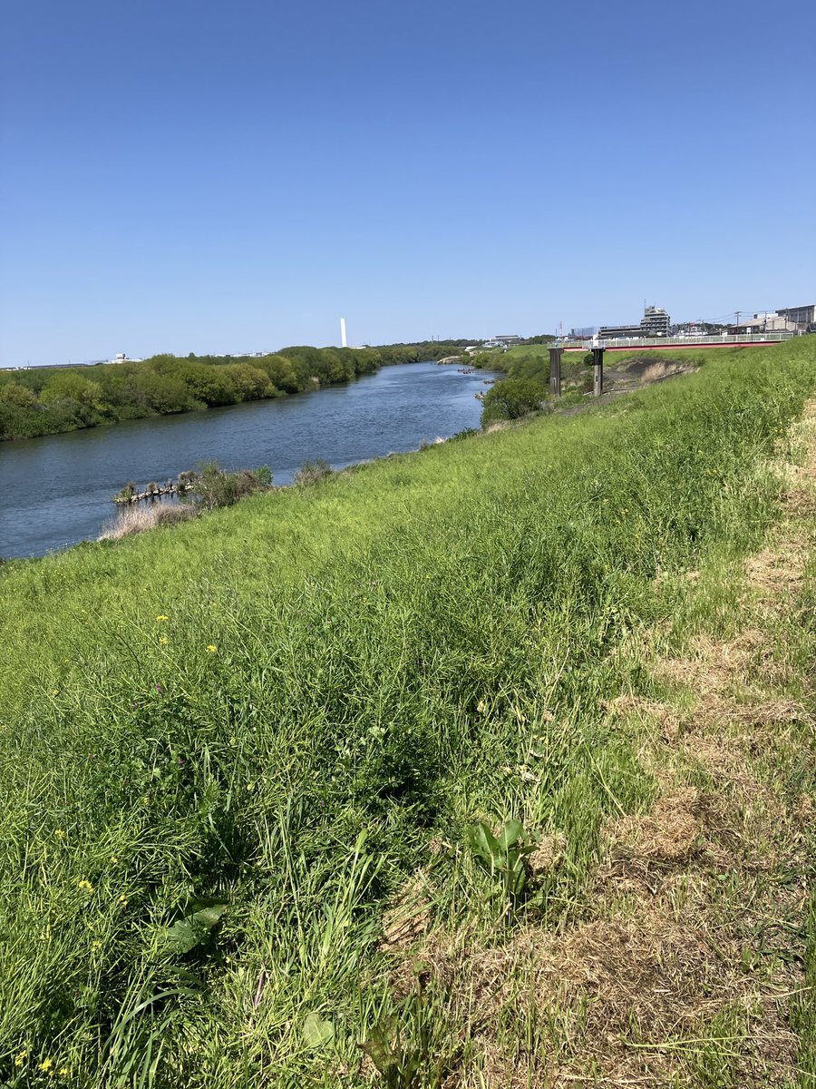 yuubukan's tweet photo. 4月12日(日)
近藤・土方離別の地、
下総流山長流寺にて第19回近藤勇忌が行われ、多くのファンが参列。近藤勇の霊に手を合わせ、心のこもったお焼香を賜りました。

講演会では、生涯「尊皇」を貫いた
近藤の漢詩「東関を出づ」について
私見ですが解説しました。
#近藤勇
#新選組 https://t.co/DhACKilfJH