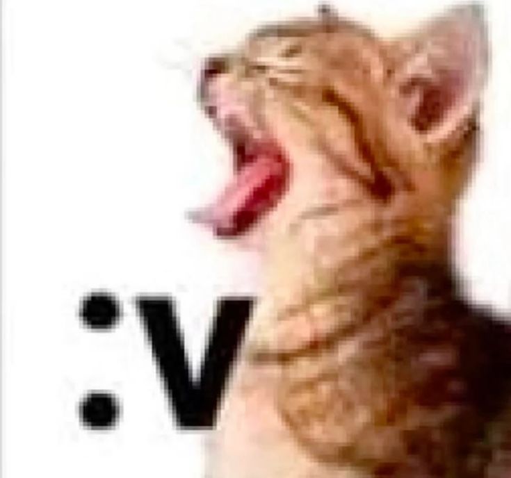 Luis pendejo tweet media