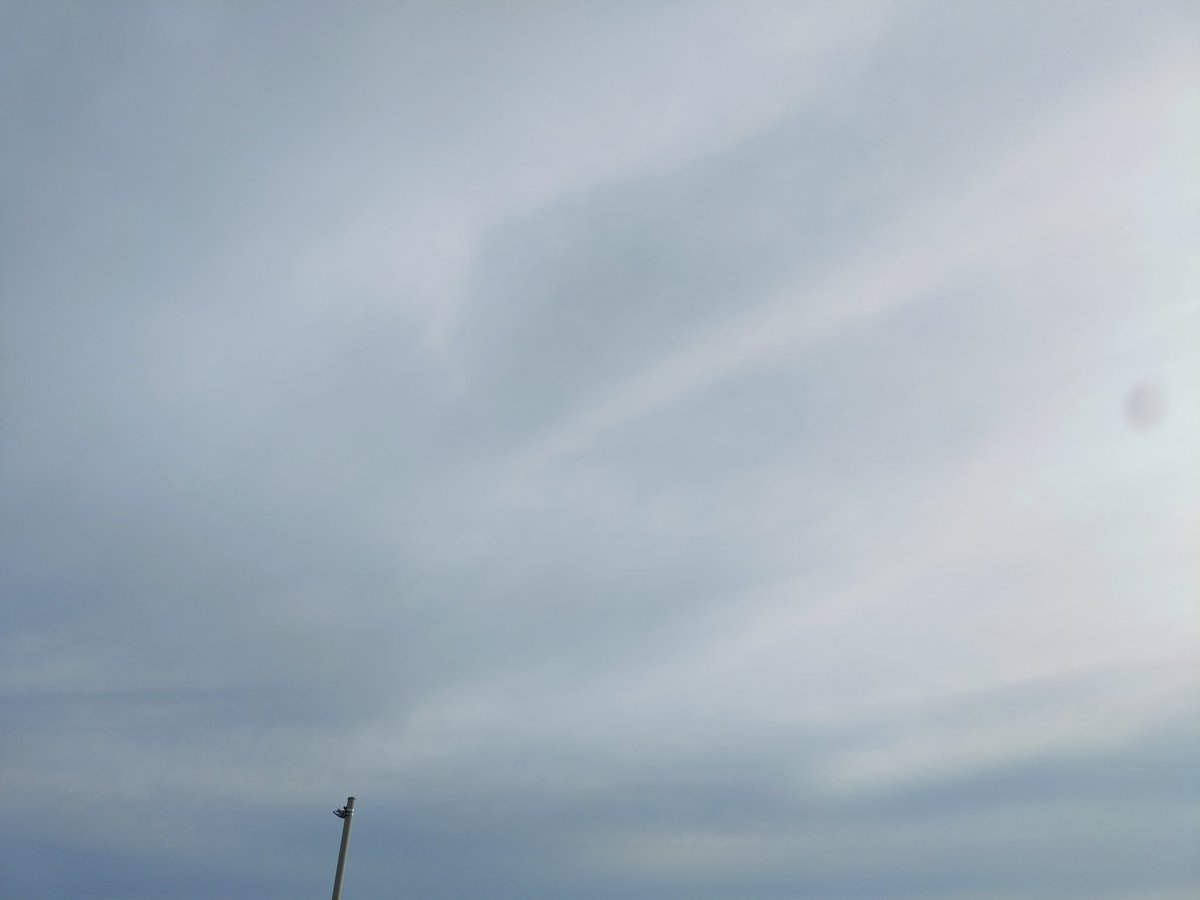 つぅくん tweet media