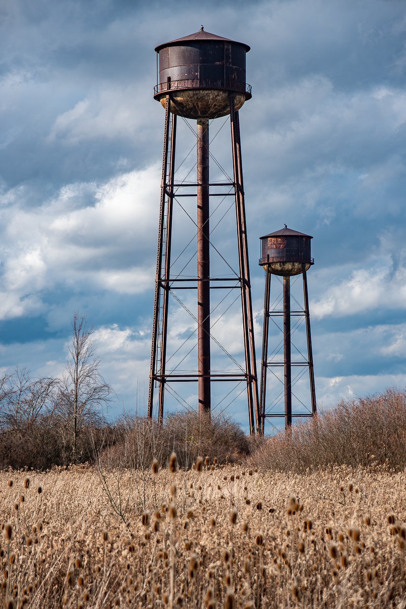 Mr. P. Explores tweet media