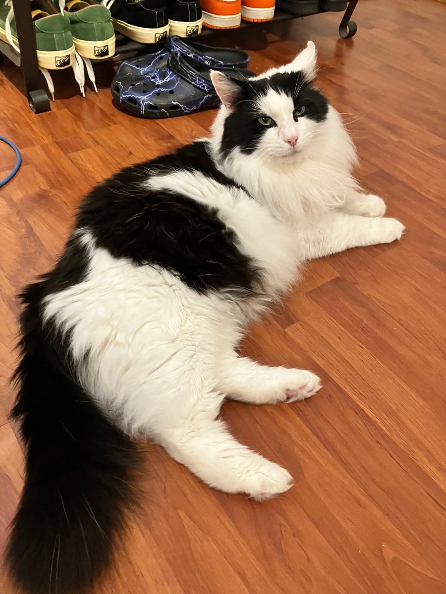 Mary 🕊️ tweet media