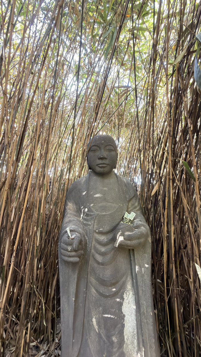 Kaizoku-ō tweet media