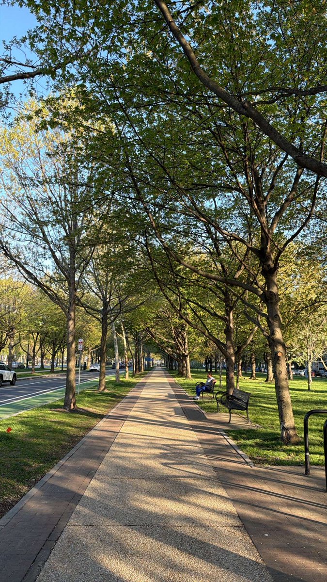 Kaizoku-ō tweet media