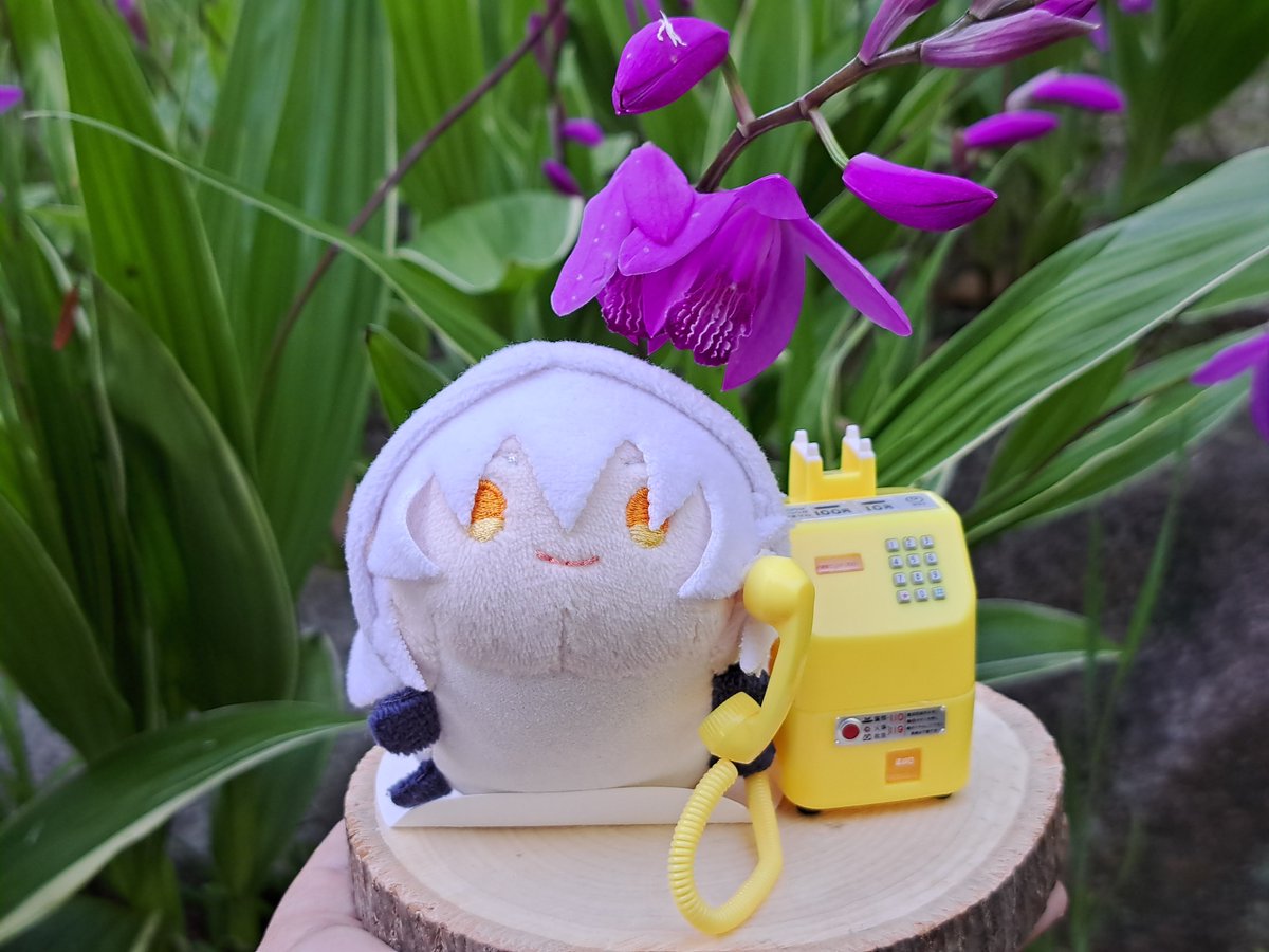 ぴすけ tweet media