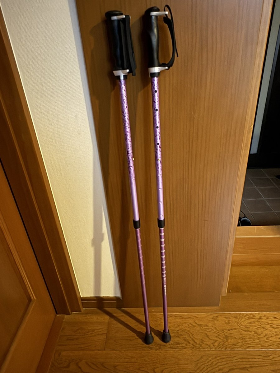 ちー|パーキンソン病と戦闘中 tweet media