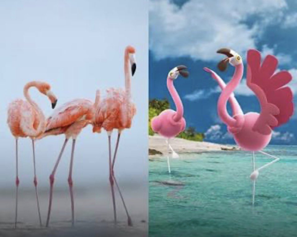 HAWU 🩵🐾 tweet media