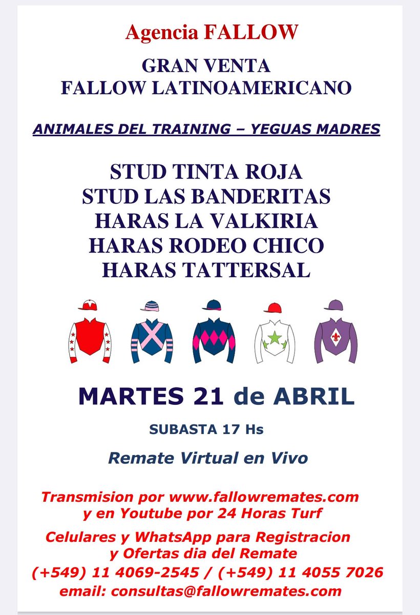 studtintaroja tweet media