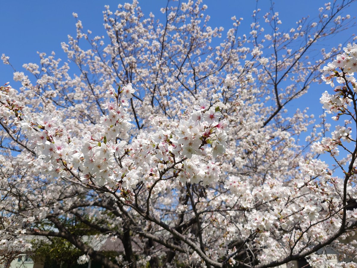 まっちゃん tweet media