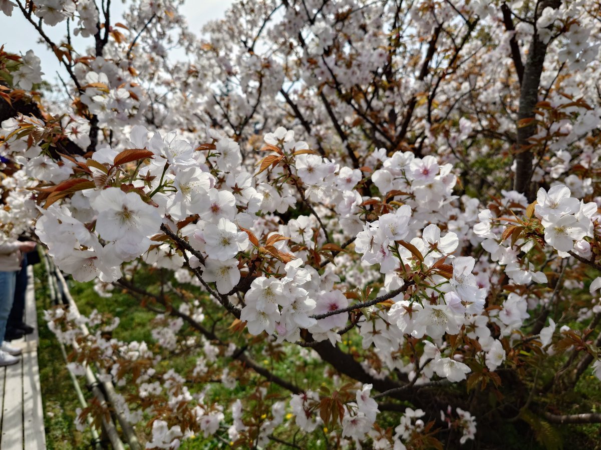 まっちゃん tweet media