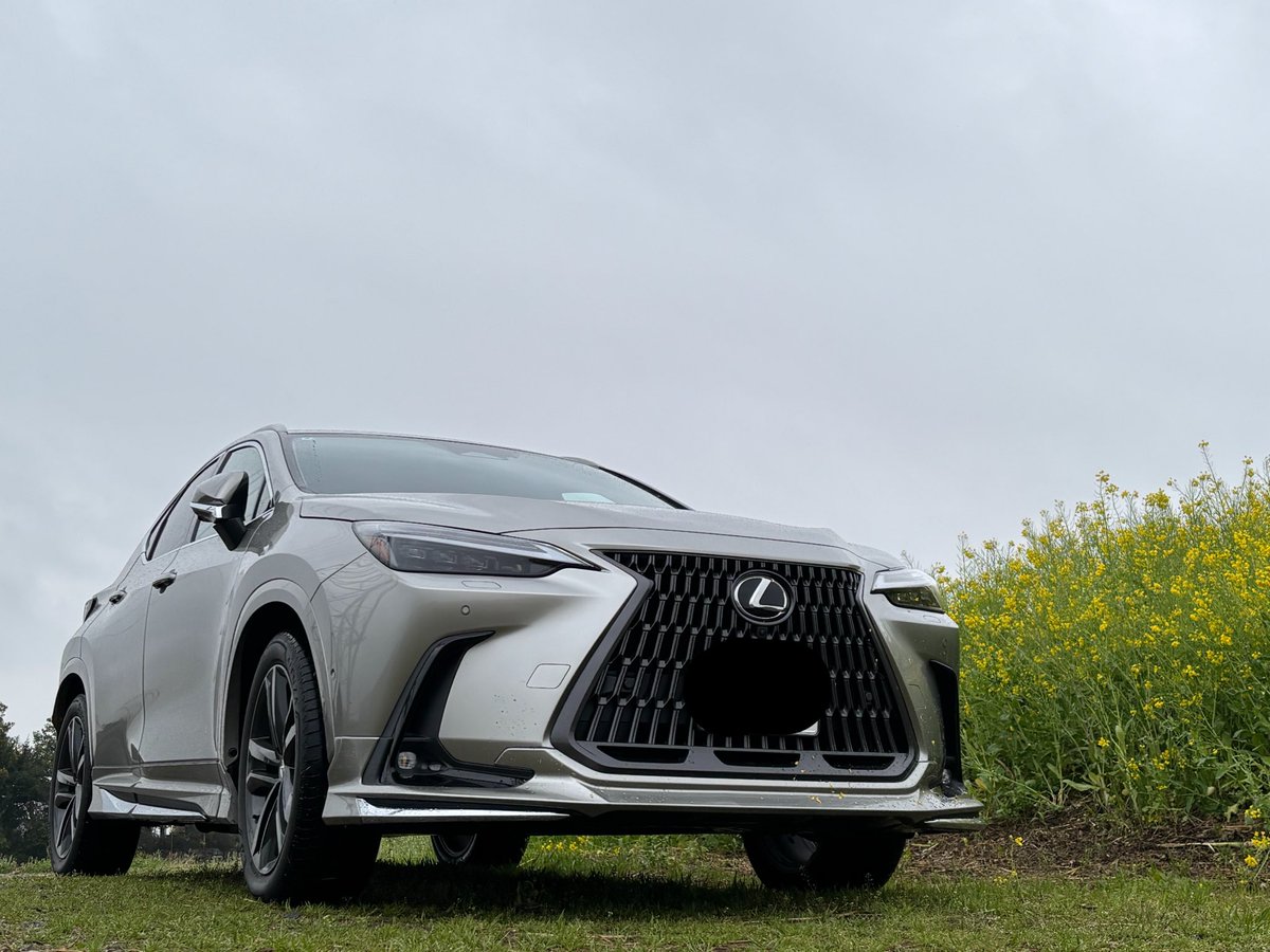 pPDBL4nrEN37015's tweet photo. @LBXMORIZORR #カッコいいフロントショットはろうぜ
#LEXUS
#NX
#MODELLISTA https://t.co/fI46sy9pTQ