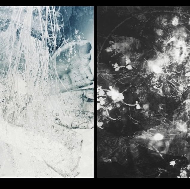 北島とわ tweet media