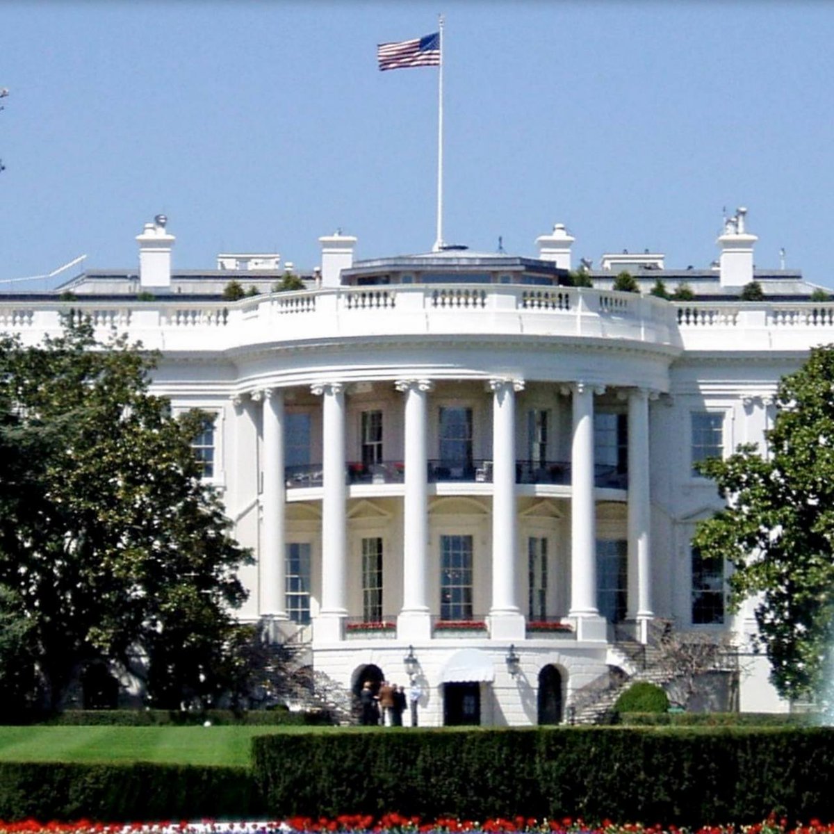 Cointelegraph tweet media