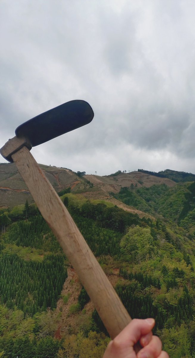 安西のひろひろ tweet media