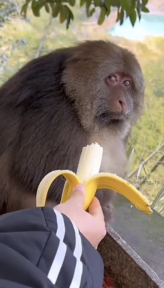 سلطان المطيـري tweet media