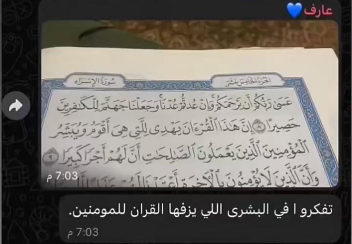 عمرو tweet media