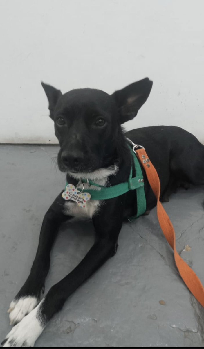 laura santa cruz tweet media