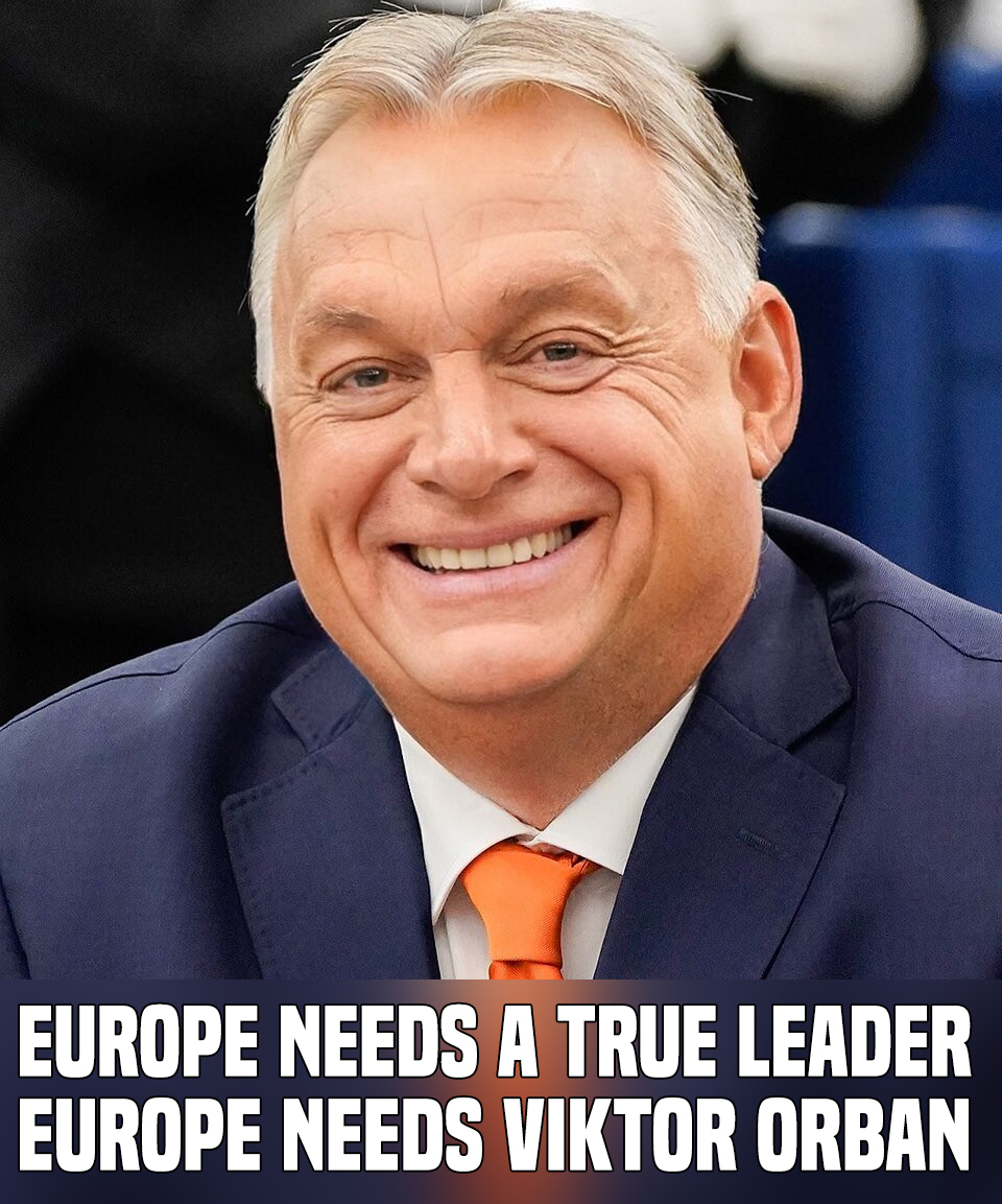 🍁Temporary Name tweet media