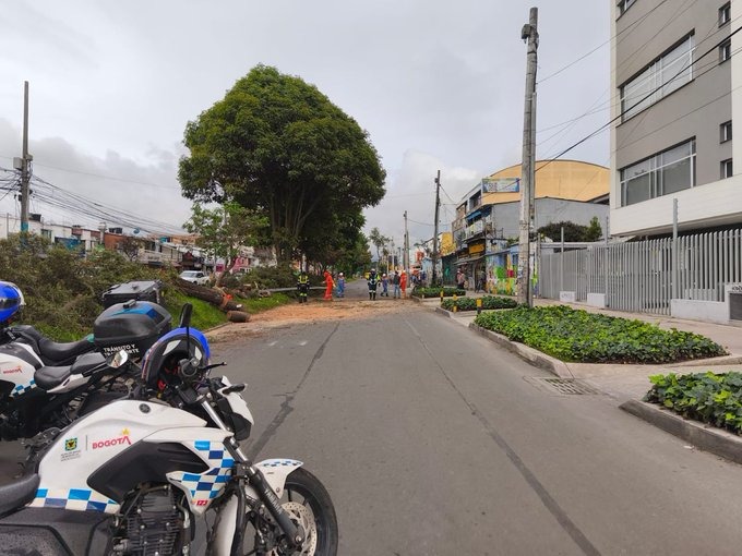 Mauricio Vanegas tweet media