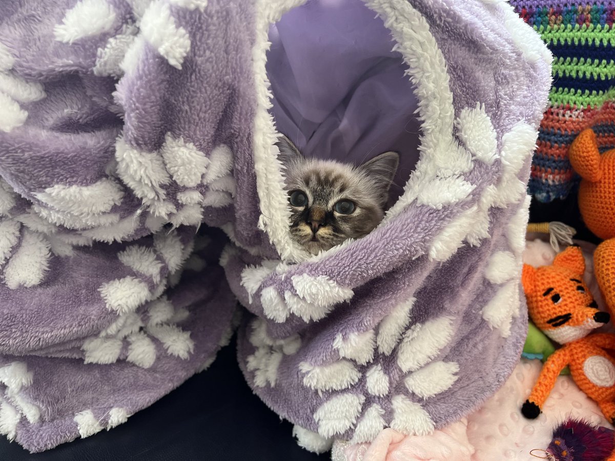 Beth Manning tweet media